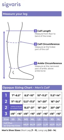 mens essential opaque calf size chart